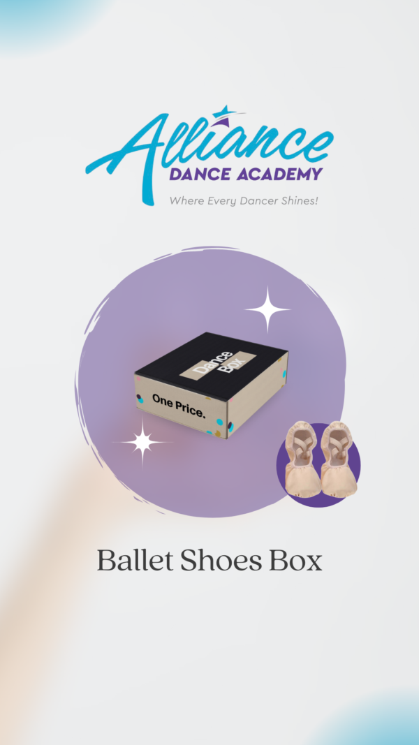 Ballet Shoe Box